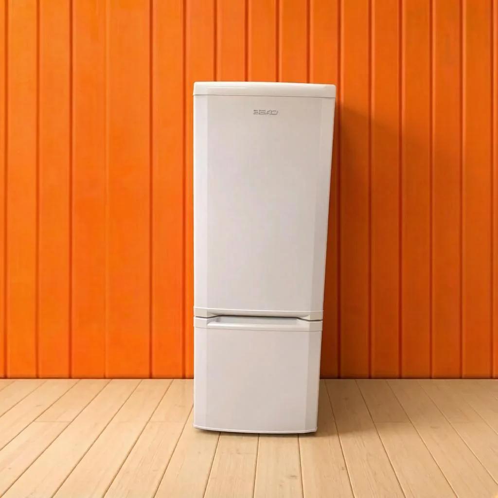 holodilnik-b-u-beko-csk25000-4.jpg